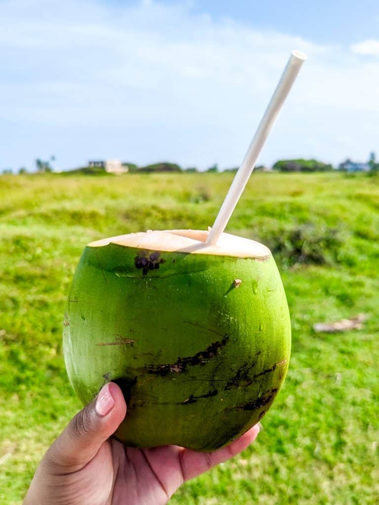 Coconut with straw in it. 