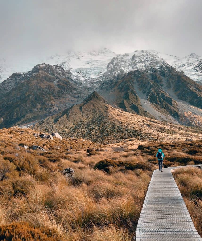 sceneries in New Zealand 